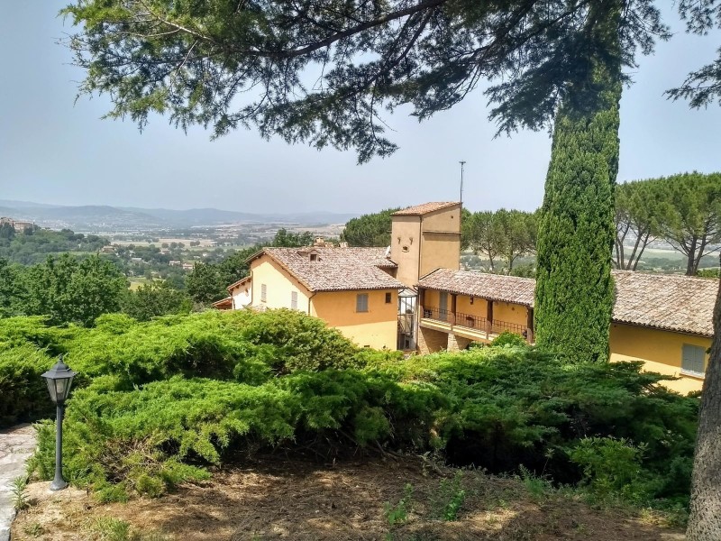 is assisi een goed idee