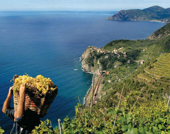 Heerlijk wijnen in de regio Ligurie
