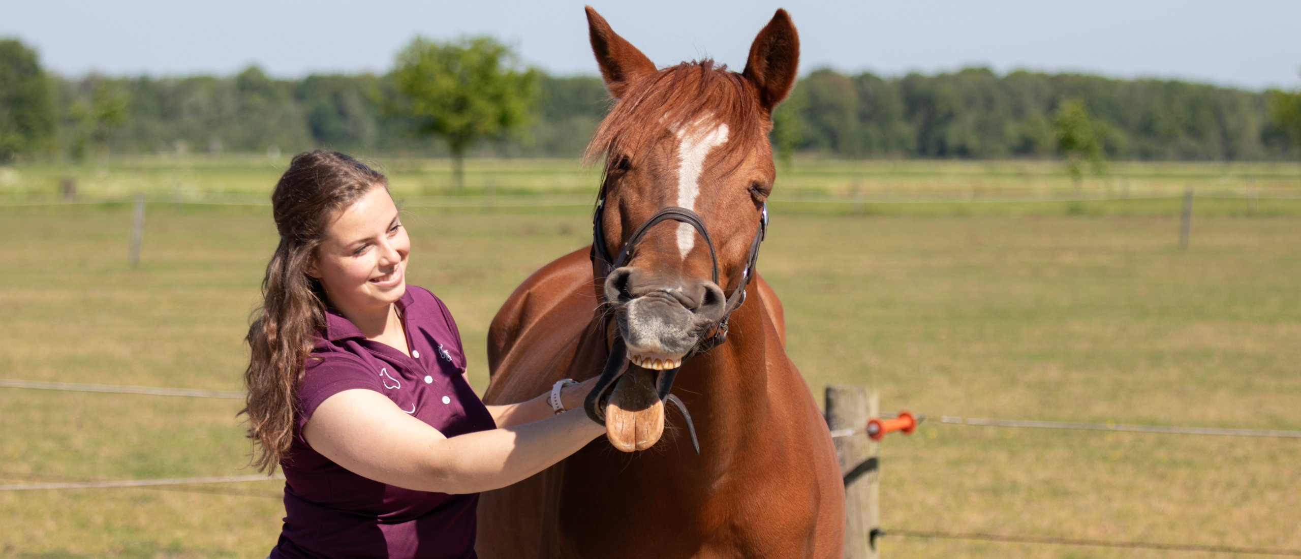 Ontspanning door osteopathie