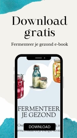 fermenteer je gezond e-book