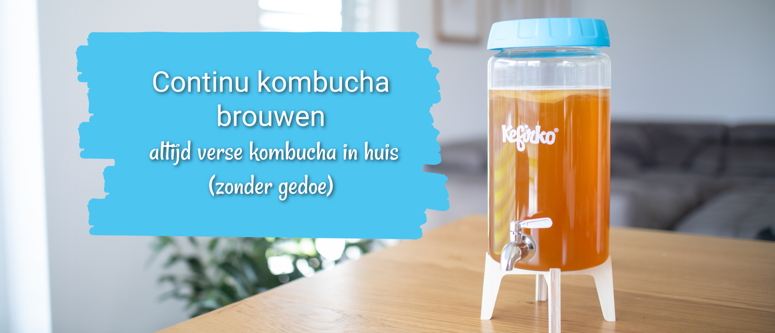 continu kombucha brouwen
