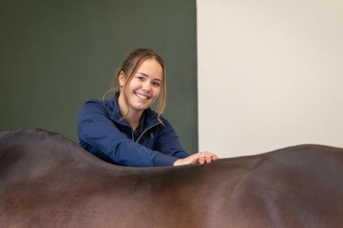 Op Lelymare Horses bieden we sportmassage voor je paard