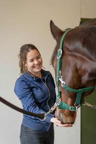 Aandacht voor het paard is zeer belangrijk