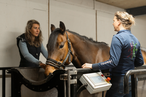 Bij Lelymare wordt je actief begeleid
