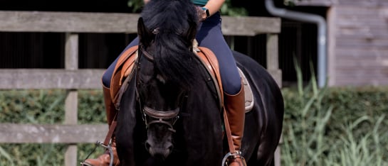 Robin Vos in de buitenbak op het paard bij Lelymare Horses