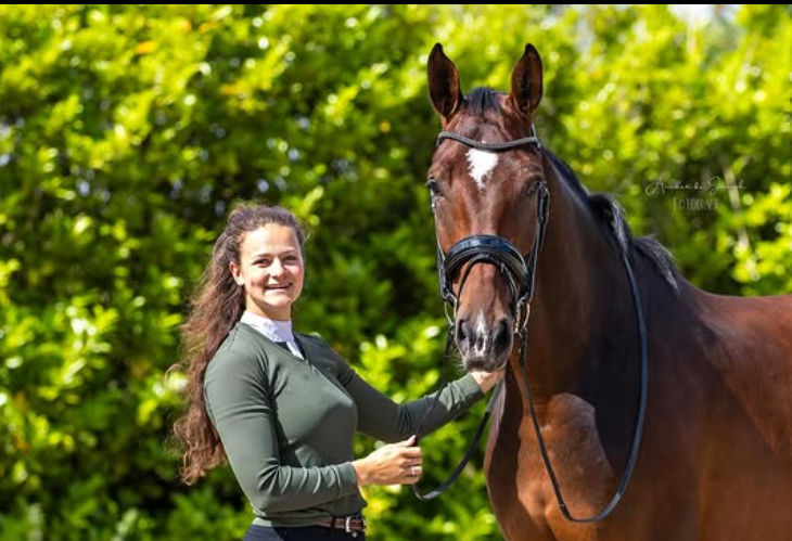 Renée van Lelymare Horses – opfok en paardenrevalidatie