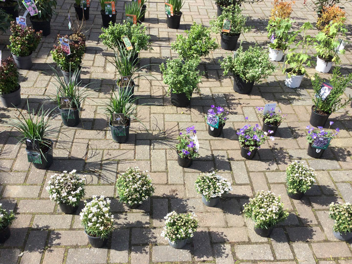 beplantingsplan maken bij tuincentrum Lepona in Wijchen