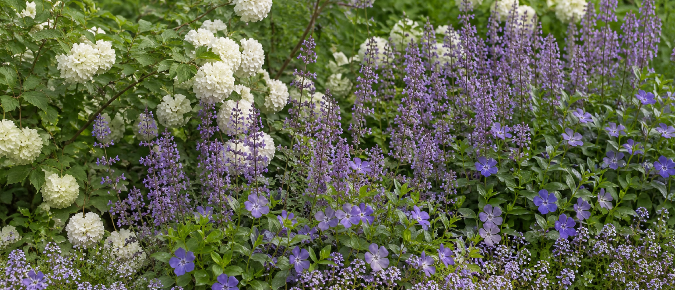 Waarom doet de ene plant het beter dan de andere?
