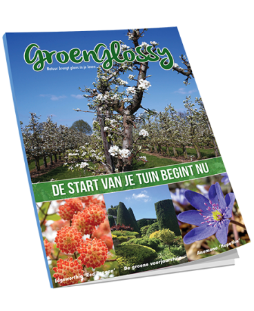 Download gratis E-book GroenGlossy voorjaar