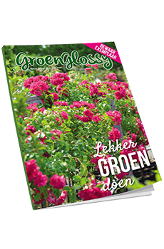 Download gratis E-book GroenGlossy zomer