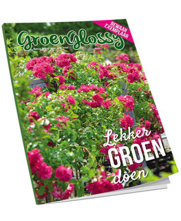 Download gratis E-book GroenGlossy zomer