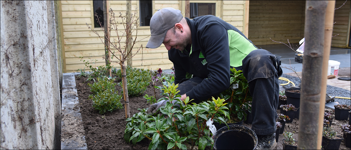Hoe zorg je goed voor je planten?