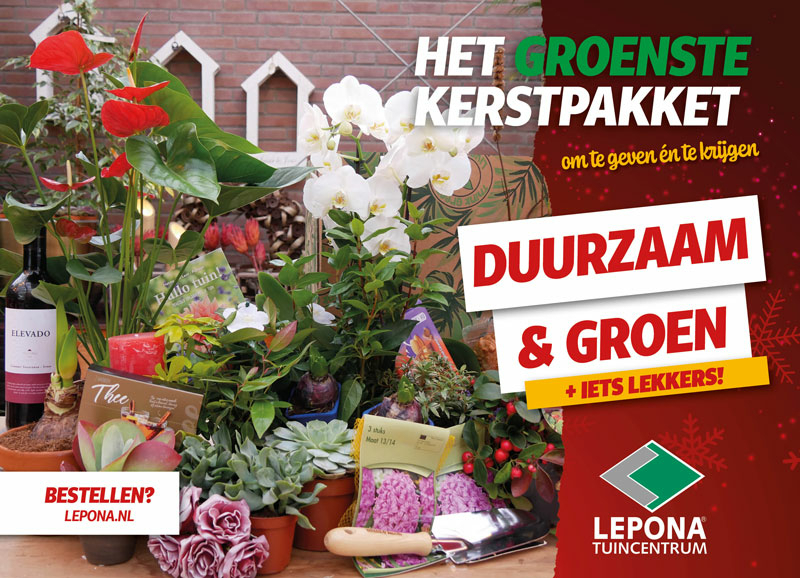 Het groenste kerstpakket - plantenpakket Lepona Tuincentrum