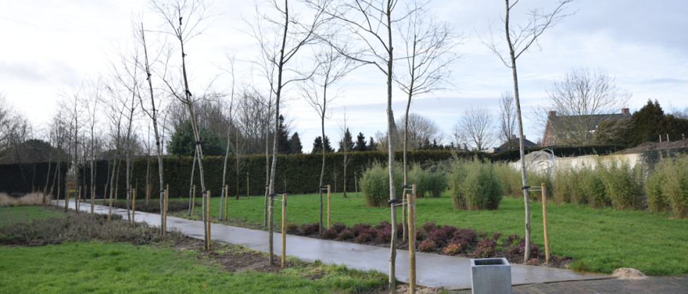 varivendo Baumanbinder Premium plantenband, boombinders, groen, voor het vastzetten en samenbinden van bomen en takken, boomband (10 meter