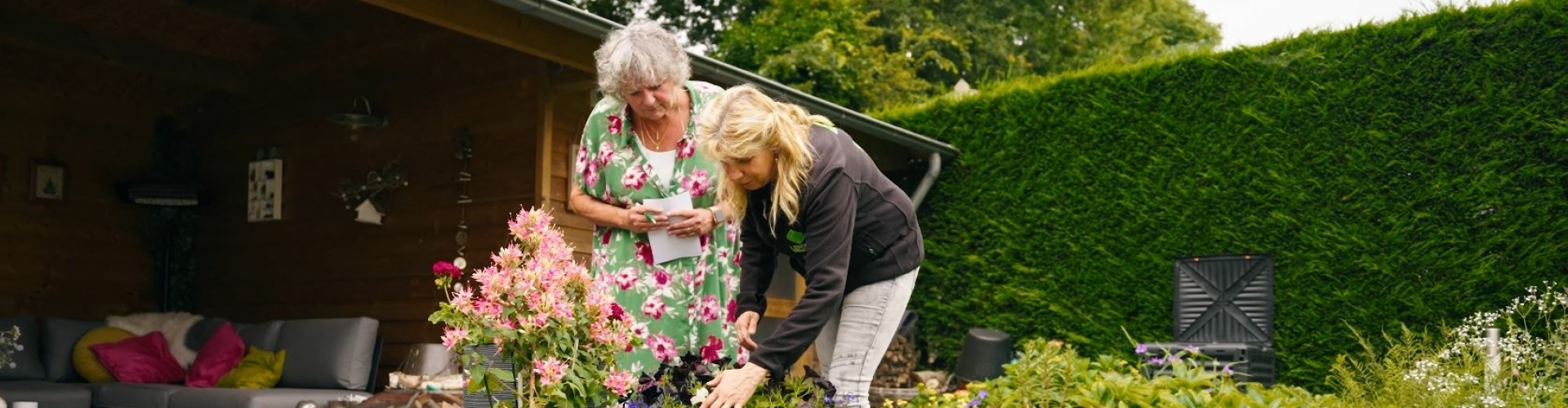 verzorging-tuin-najaar-tuinteacher