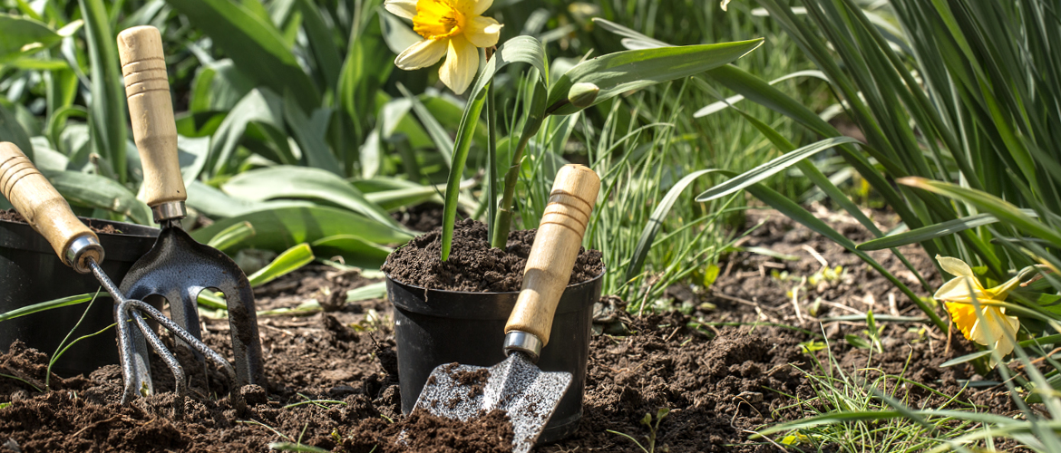 Eind maart, wat kun je nu planten in je tuin?