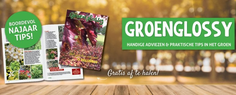Tuinmagazine: De GroenGlossy!