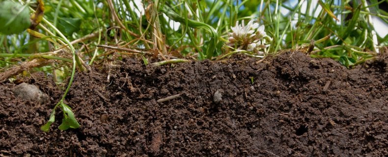 Bodemverzorgingsweken: Hoe verzorg ik de bodem van mijn tuin?