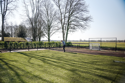 groen-gazon-ingezaaid-tuin