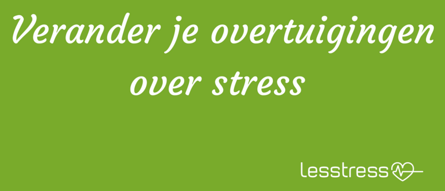 Jouw overtuiging over stress bepaalt het effect