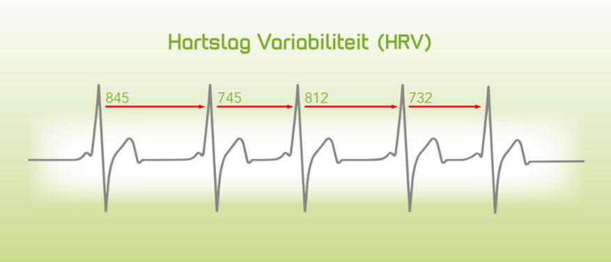 Je ademhaling bepaalt je stressniveau