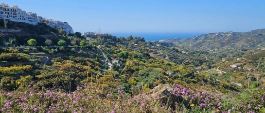 1-1 retreat Spanje