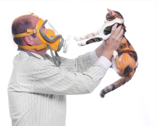 Allergie voor katten en astma