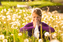 Allergieën zoals hooikoorts