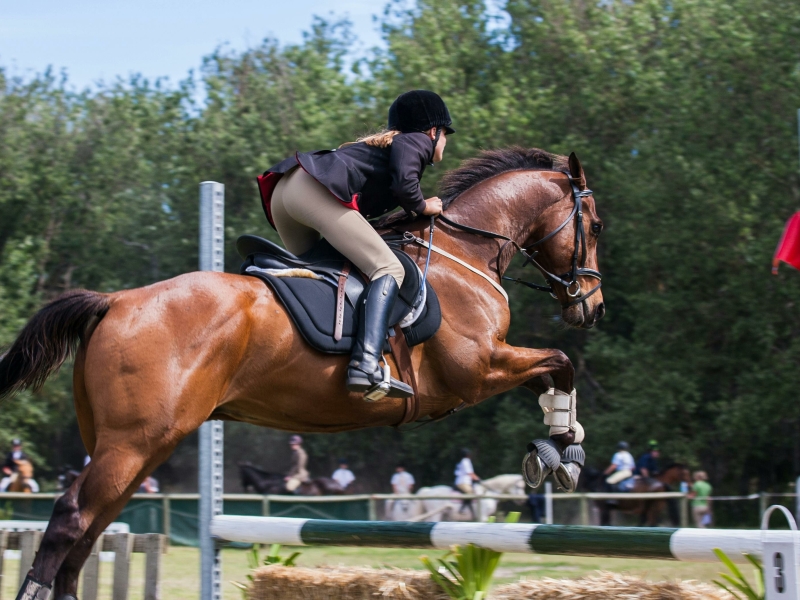 Buiten rijbak verlichting voor een paardenbak