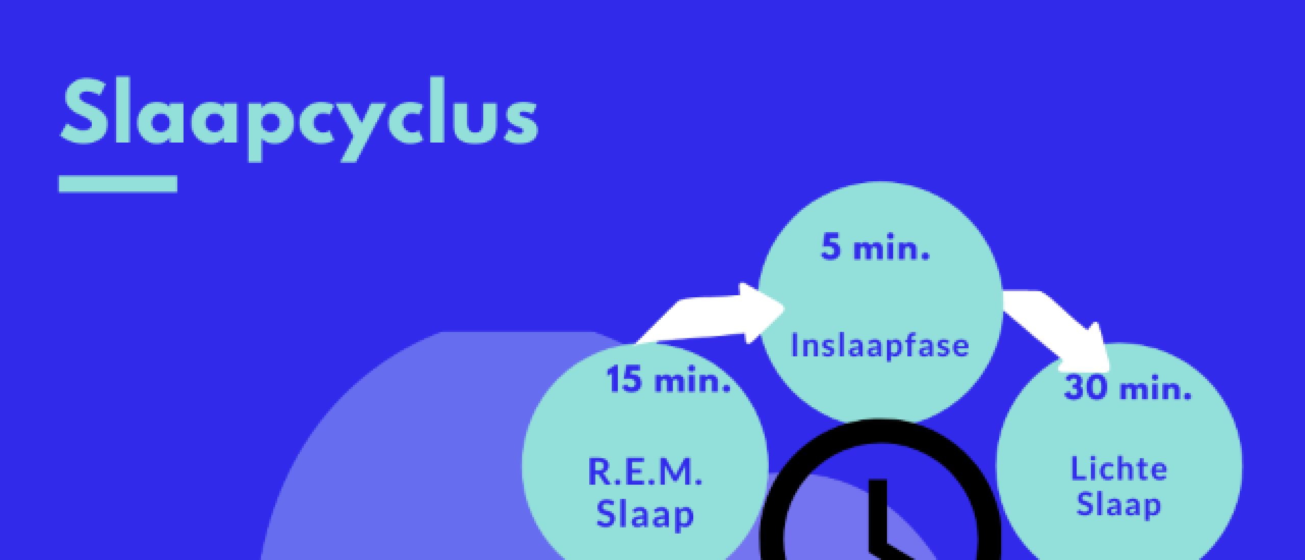 Slaapcyclus