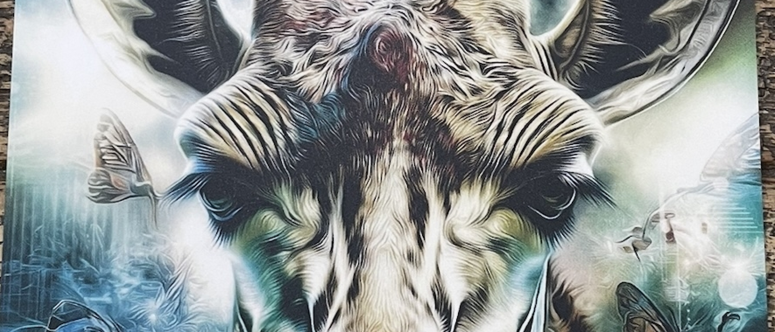 Kansen zien, waar anderen Obstakels ervaren