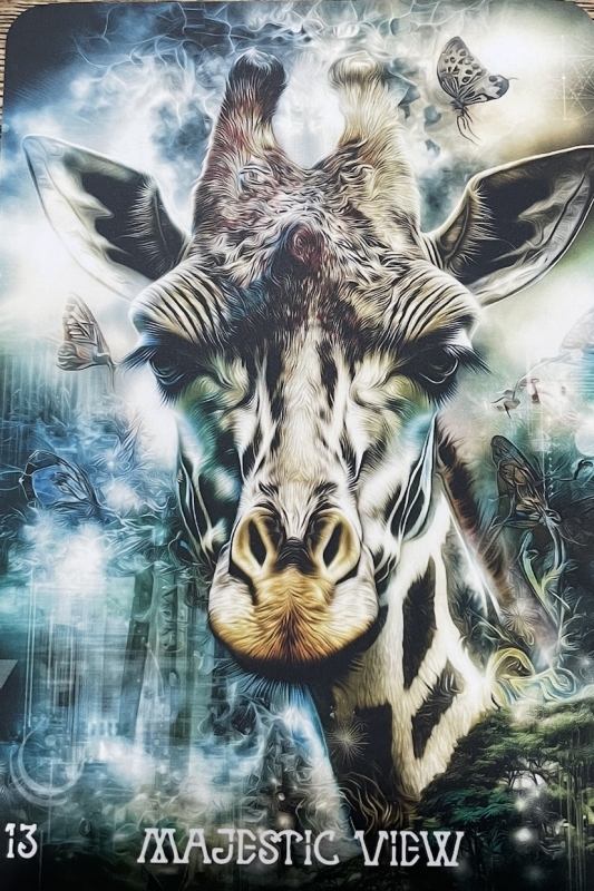 Kansen zien waar anderen obstakels ervaren De kracht van jouw unieke perspectief