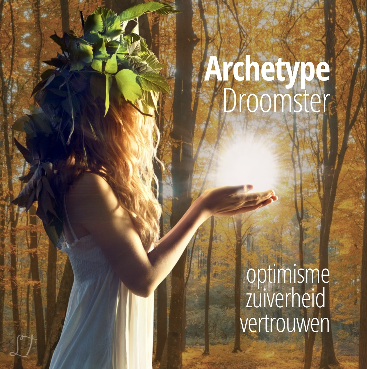 🍁 De Droomster | de optimist van de 12 archetypes
