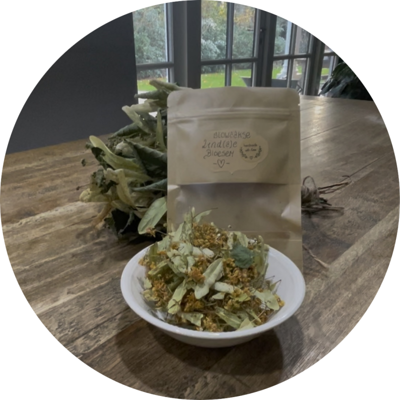 Kop lindebloesemthee bij de Linde, moederboom van verbinding, energie en natuurlijke inspiratie in het Land van Thuijs