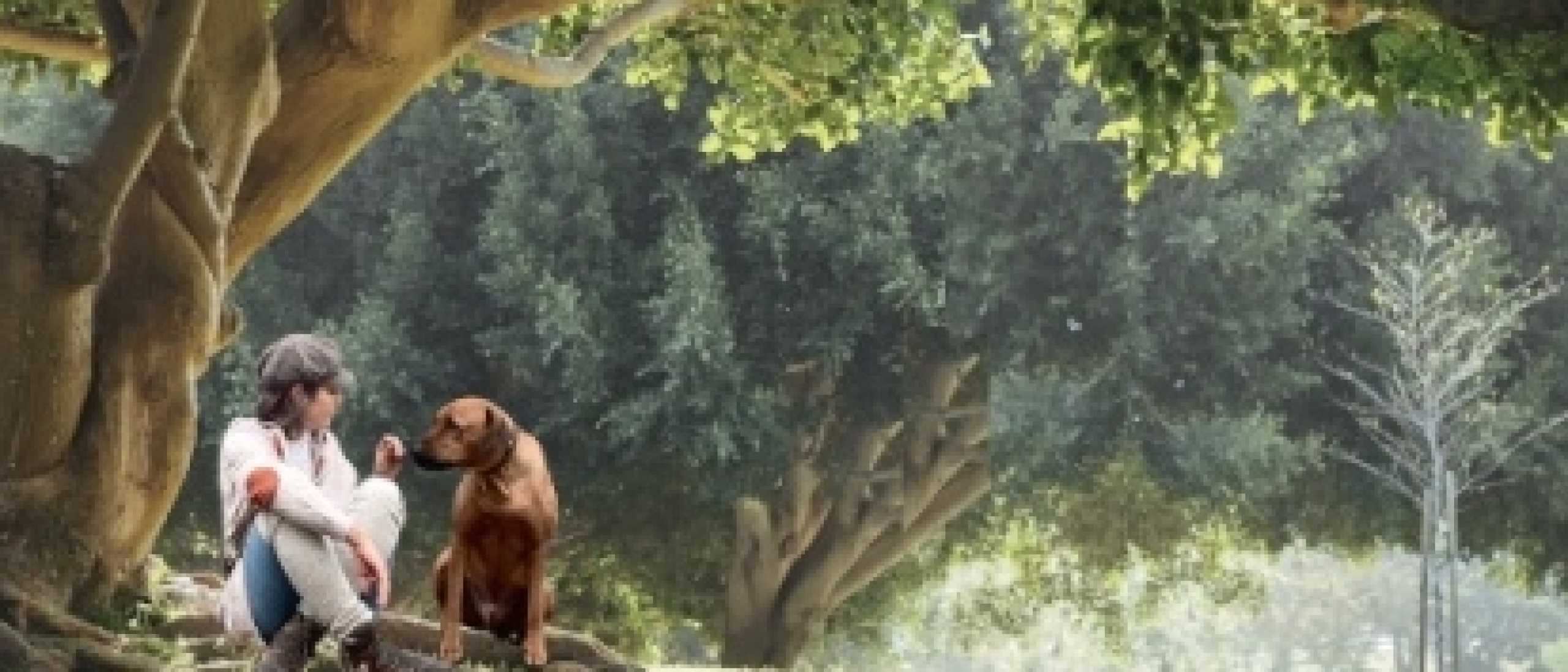 Waarom FOMO zo hard binnenkomt bij creatieve ondernemers...