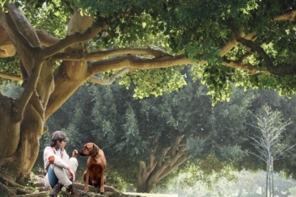 Waarom FOMO zo hard binnenkomt bij creatieve ondernemers...