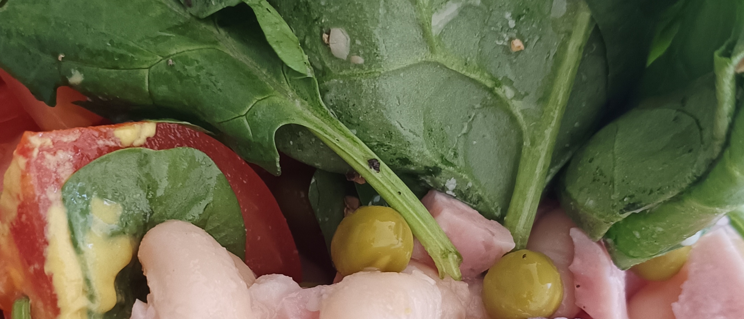Voeding, succes en je trimsalon