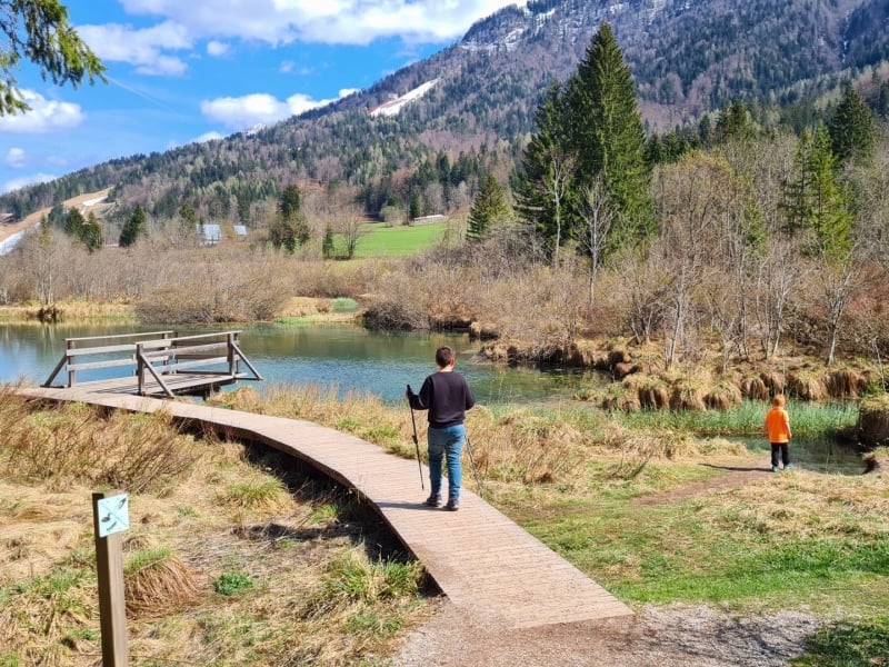 Zelenci Nature Reserve with children