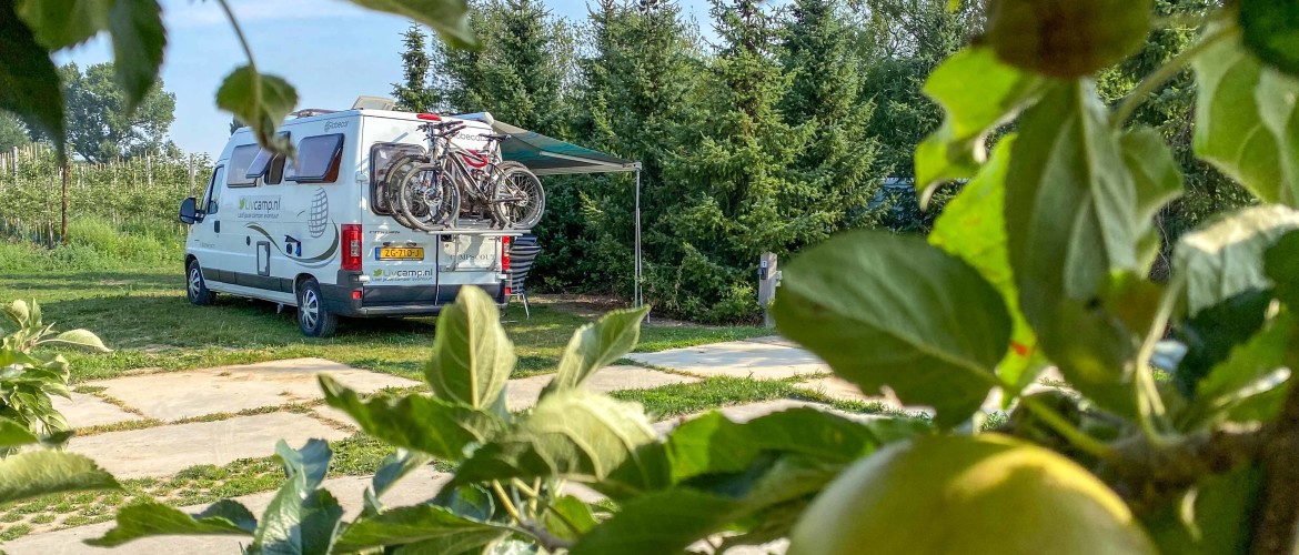 Camperplaats de Woerdt: tussen de boomgaarden slapen