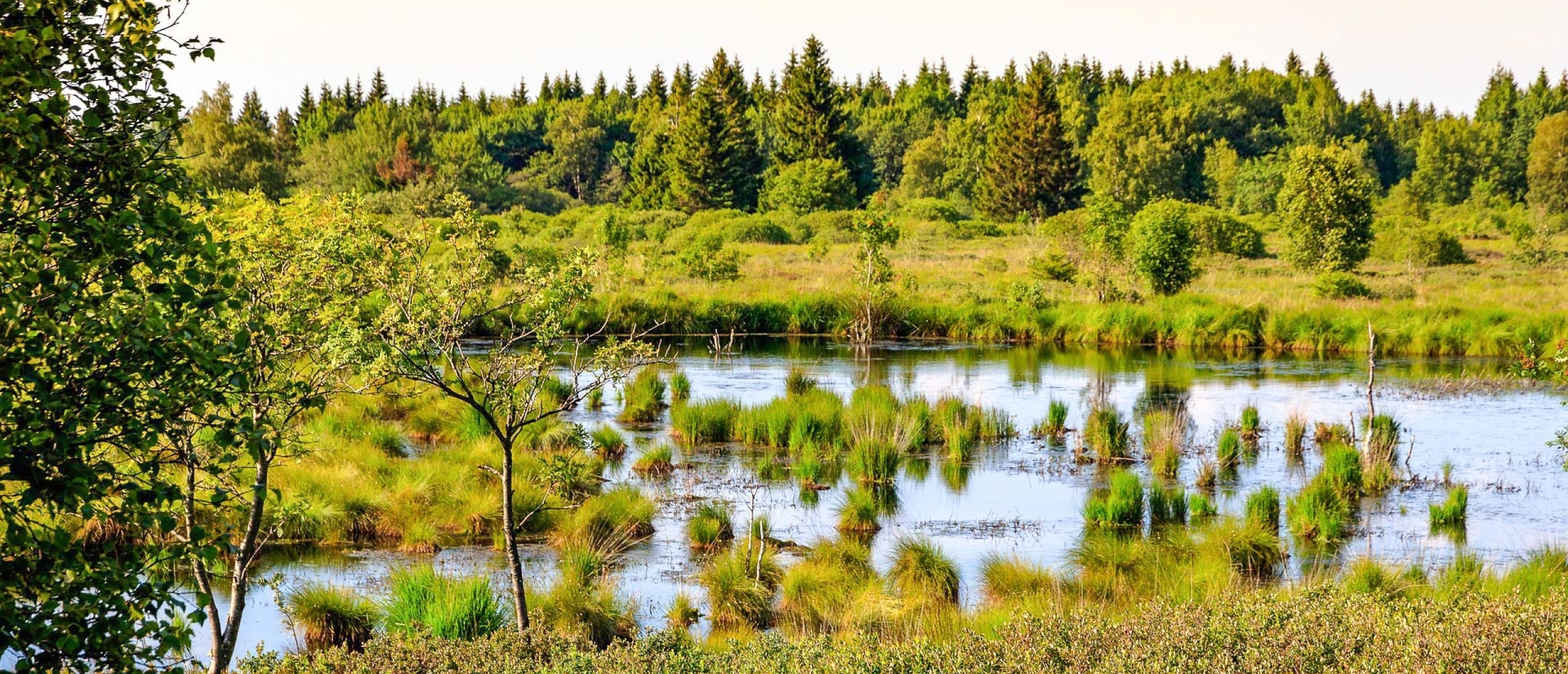 Camperplaatsen bij een recreatiepark in België