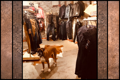 Damesmotorkleding, damesmotorjas, damesmotorbroek Damesmotorkleding, damesmotorjas, damesmotorbroek