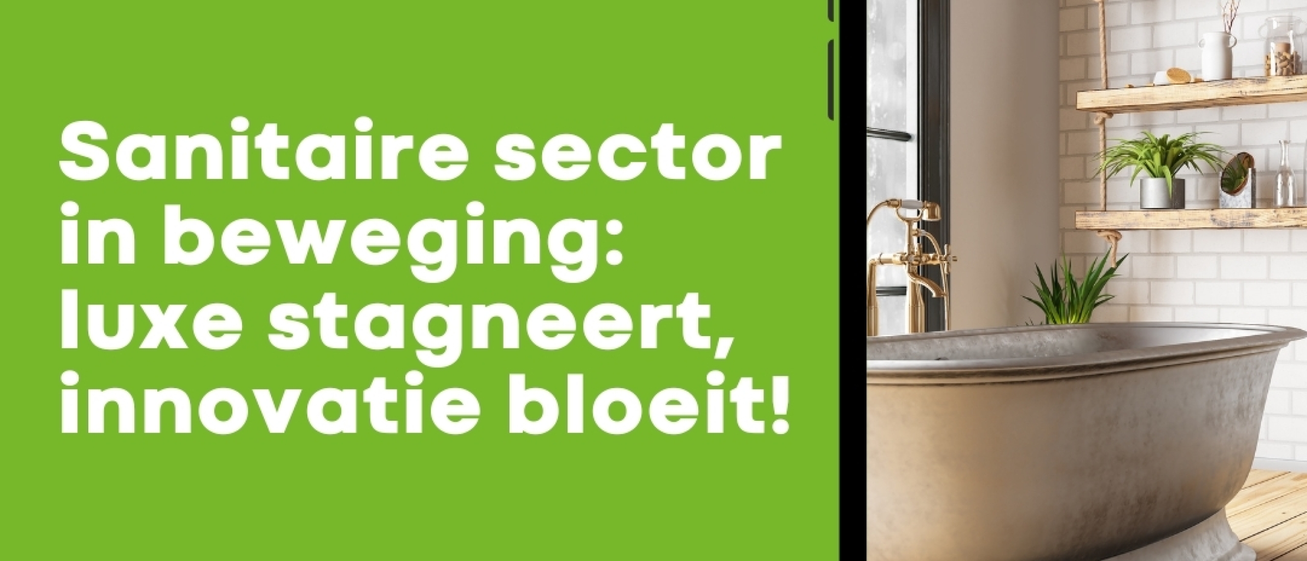 Sanitaire sector in beweging: luxe stagneert, innovatie bloeit!