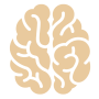 neuromarketing