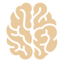 neuromarketing