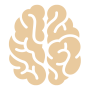 neuromarketing