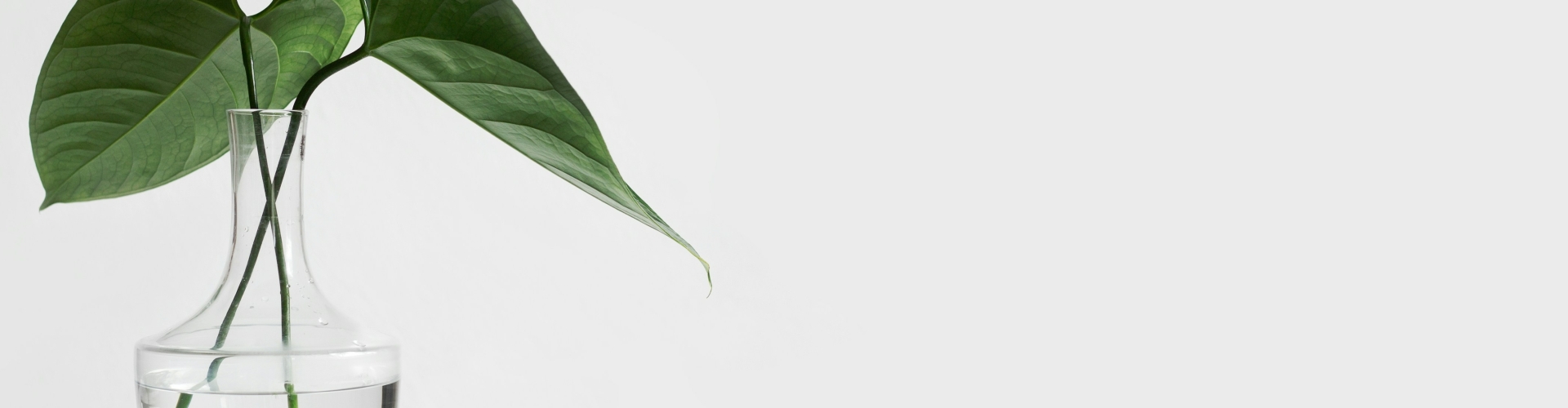 Lone Wolves banner