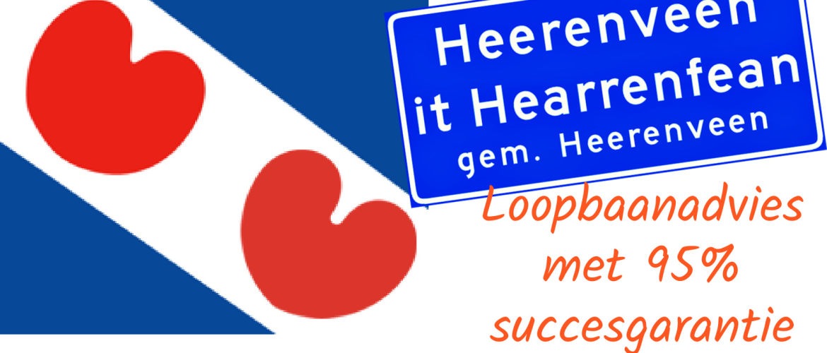 Loopbaanadvies in Heerenveen (Friesland)