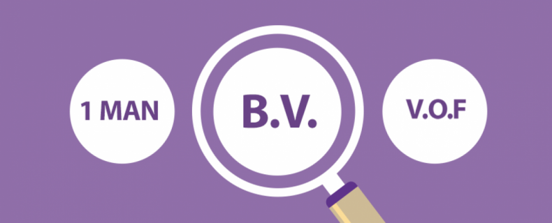 Wat zijn de voordelen van een Holding-BV boven een Werk-BV?