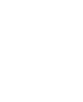 logo lowcode experts