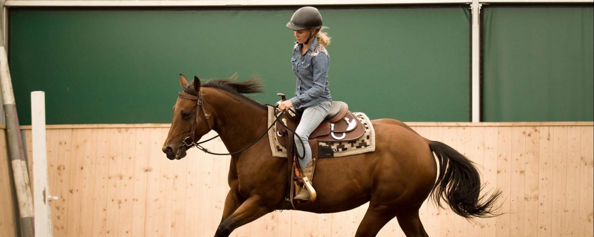 Femke Jacob: Mileda's Horse Center van bijna failliet tot bloeiend bedrijf